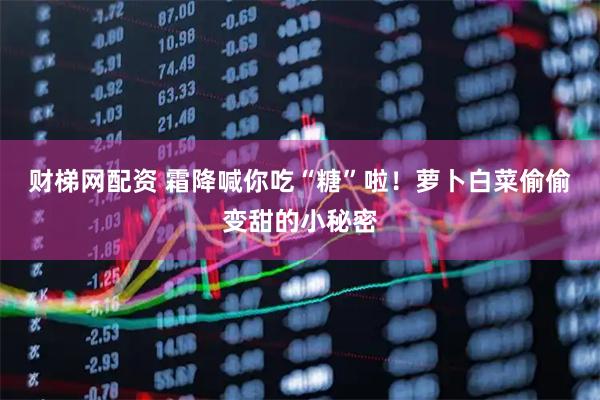 财梯网配资 霜降喊你吃“糖”啦！萝卜白菜偷偷变甜的小秘密