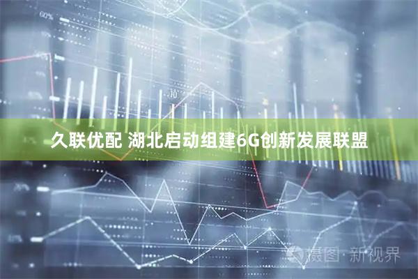 久联优配 湖北启动组建6G创新发展联盟