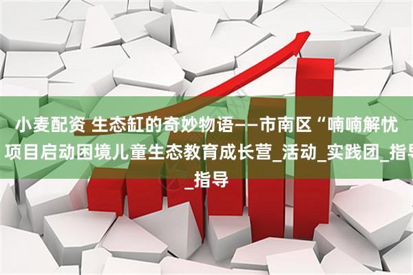 小麦配资 生态缸的奇妙物语——市南区“喃喃解忧”项目启动困境儿童生态教育成长营_活动_实践团_指导